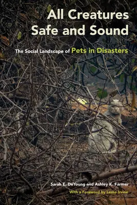 Alle Kreaturen sicher und gesund: Die soziale Landschaft von Haustieren in Katastrophenfällen - All Creatures Safe and Sound: The Social Landscape of Pets in Disasters