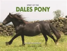 Der Geist des Dales-Ponys - Spirit of the Dales Pony