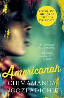 Amerikanerin - Americanah