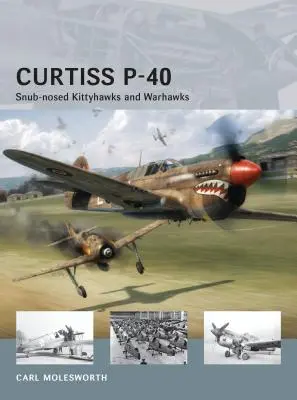 Curtiss P-40: Stupsnasen Kittyhawks und Warhawks - Curtiss P-40: Snub-Nosed Kittyhawks and Warhawks