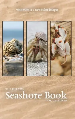 Das Burgess Seashore Buch mit neuen Farbbildern - The Burgess Seashore Book with new color images