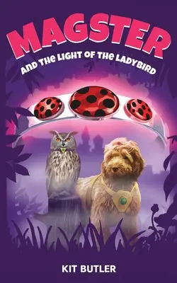 Magster und das Licht des Marienkäfers - Magster and the Light of the Ladybird