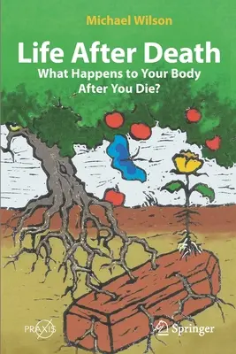 Leben nach dem Tod: Was passiert mit deinem Körper nach deinem Tod? - Life After Death: What Happens to Your Body After You Die?