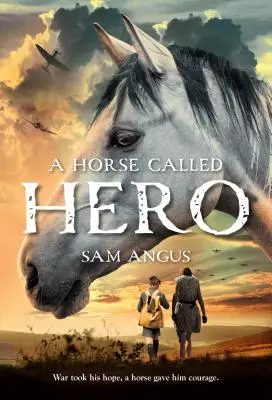 Ein Pferd namens Hero - A Horse Called Hero