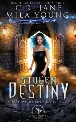 Gestohlenes Schicksal: Paranormaler Liebesroman - Stolen Destiny: Paranormal Romance