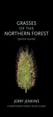 Gräser des nördlichen Waldes: Kurzanleitung - Grasses of the Northern Forest: Quick Guide