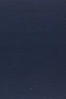 Handbuch für den Klerus der Apostolischen Kirche des Pleroma - Apostolic Church of the Pleroma Clergy Handbook