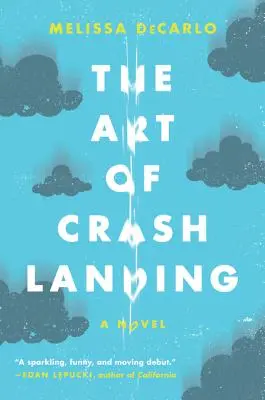 Die Kunst der Bruchlandung - The Art of Crash Landing