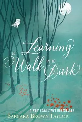 Lernen, im Dunkeln zu gehen: Weil Gott manchmal nachts auftaucht - Learning to Walk in the Dark: Because Sometimes God Shows Up at Night