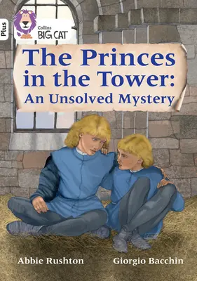 Die Prinzen im Turm: Ein ungelöstes Rätsel - Band 10+/White Plus - Princes in the Tower: An Unsolved Mystery - Band 10+/White Plus