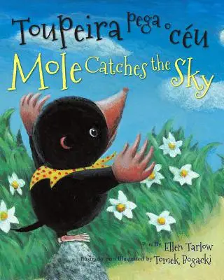 Maulwurf fängt den Himmel (Portugiesisch/Englisch) - Mole Catches the Sky (Portuguese/English)