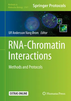 Rna-Chromatin-Wechselwirkungen: Methoden und Protokolle - Rna-Chromatin Interactions: Methods and Protocols