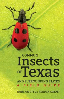 Gewöhnliche Insekten von Texas und den angrenzenden Staaten: Ein Feldführer - Common Insects of Texas and Surrounding States: A Field Guide