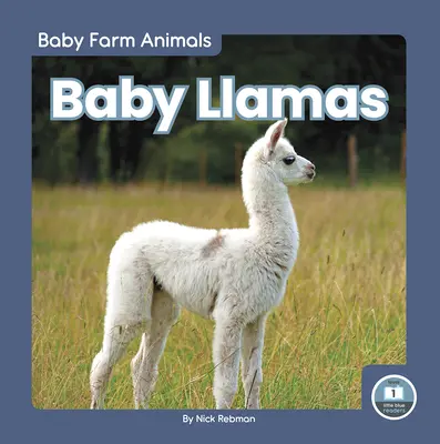Baby-Lamas - Baby Llamas