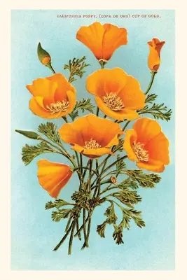 Jahrgangsjournal Kalifornien Mohnblumen - Vintage Journal California Poppies