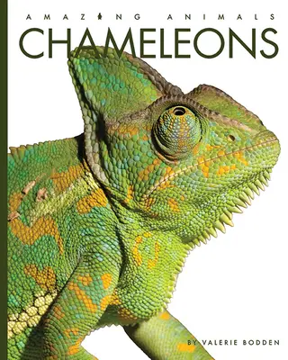 Chamäleons - Chameleons