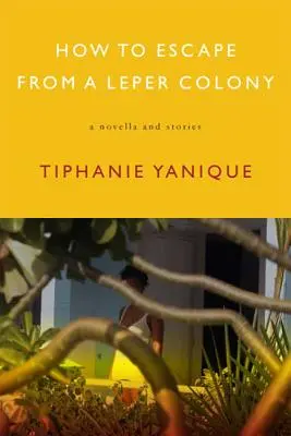 Wie man aus einer Leprakolonie flieht: Eine Novelle und Geschichten - How to Escape from a Leper Colony: A Novella and Stories