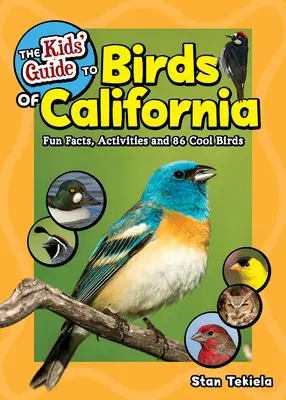 Der Kinderführer für Vögel in Kalifornien: Wissenswertes, Aktivitäten und 86 coole Vögel - The Kids' Guide to Birds of California: Fun Facts, Activities and 86 Cool Birds