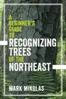 Ein Leitfaden für Anfänger zur Erkennung von Bäumen des Nordostens - A Beginner's Guide to Recognizing Trees of the Northeast