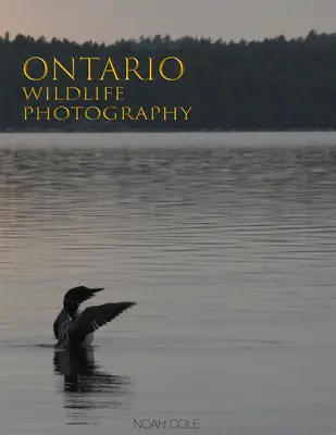 Ontario Wildlife Fotografie - Ontario Wildlife Photography