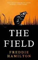 Feld - Field