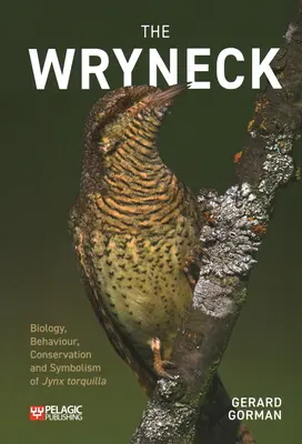 Der Wendehals - The Wryneck