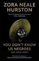 Du kennst uns Neger nicht und andere Essays - You Don't Know Us Negroes and Other Essays