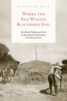 Wo die Rotflügeligen Amseln singen: Die Akimel O'Odham und die Zyklen der landwirtschaftlichen Transformation im Phoenix-Becken - Where the Red-Winged Blackbirds Sing: The Akimel O'Odham and Cycles of Agricultural Transformation in the Phoenix Basin