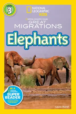 Elefanten - Elephants