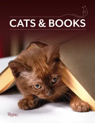 Katzen & Bücher - Cats & Books