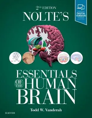 Nolte's Essentials of the Human Brain (Grundlagen des menschlichen Gehirns) - Nolte's Essentials of the Human Brain