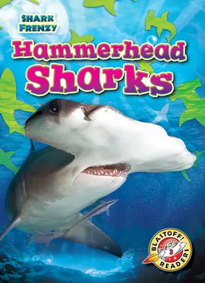 Hammerhaie - Hammerhead Sharks