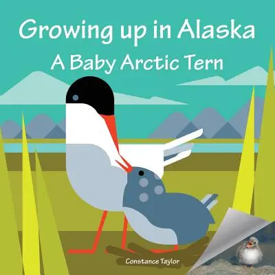 Aufwachsen in Alaska: Ein Küstenseeschwalbenbaby - Growing up in Alaska: A Baby Arctic Tern
