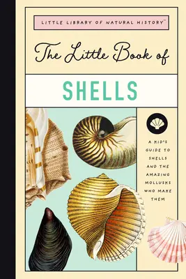 Das kleine Buch der Muscheln: Ein Führer zu Muscheln und den erstaunlichen Kreaturen, die sie herstellen - The Little Book of Shells: A Guide to Shells and the Amazing Creatures Who Make Them