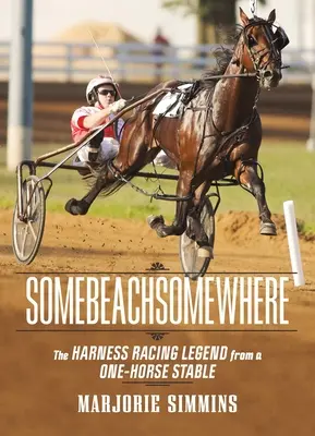 Irgendwo zwischen den Beinen: Eine Trabrennen-Legende aus einem Ein-Pferde-Stall - Somebeachsomewhere: A Harness Racing Legend from a One-Horse Stable