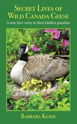 Das geheime Leben der wilden Kanadagänse: Eine wahre Liebesgeschichte in ihrem verborgenen Paradies - Secret Lives of Wild Canada Geese: A true love story in their hidden paradise