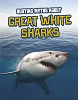 Mythen über Weiße Haie entlarven - Busting Myths About Great White Sharks