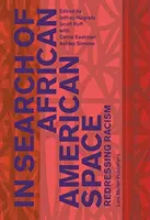 Auf der Suche nach dem afroamerikanischen Raum: Die Überwindung des Rassismus - In Search of African American Space: Redressing Racism