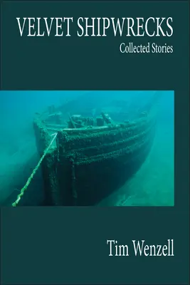 Samtige Schiffswracks: Gesammelte Geschichten - Velvet Shipwrecks: Collected Stories