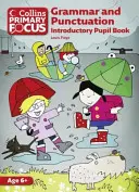 Grammatik und Zeichensetzung: Introductory Pupil Book - Grammar and Punctuation: Introductory Pupil Book