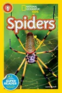 Spinnen - Spiders