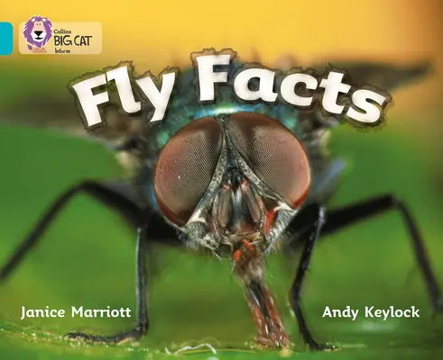 Fakten zum Fliegen - Fly Facts