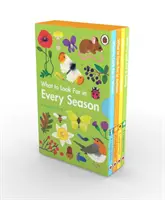 Was es zu jeder Jahreszeit zu beachten gilt - ein Ladybird Book Boxset - What to Look For in Every Season - A Ladybird Book Boxset