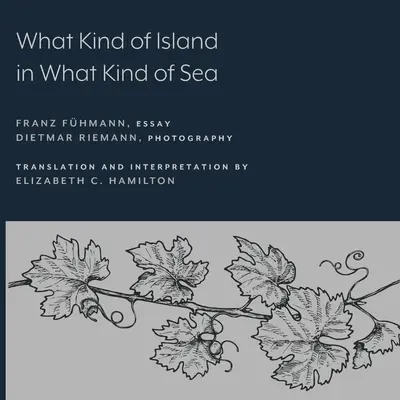 Was für eine Insel in was für einem Meer? - What Kind of Island in What Kind of Sea?
