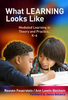 Wie Lernen aussieht: Vermitteltes Lernen in Theorie und Praxis, K-6 - What Learning Looks Like: Mediated Learning in Theory and Practice, K-6