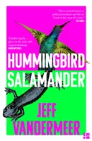 Kolibri-Salamander - Hummingbird Salamander