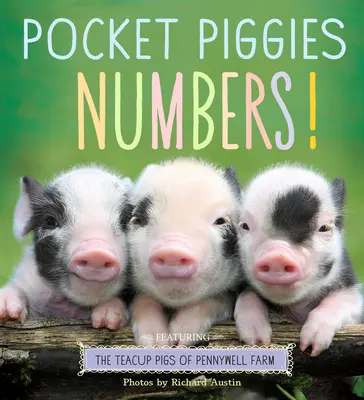 Pocket Piggies Numbers!: Mit den Teacup-Schweinen der Pennywell Farm - Pocket Piggies Numbers!: Featuring the Teacup Pigs of Pennywell Farm