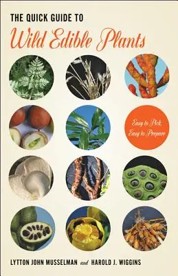 Der Kurzführer für essbare Wildpflanzen - The Quick Guide to Wild Edible Plants