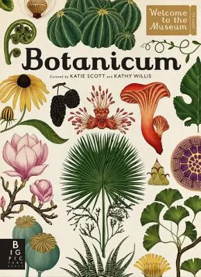 Botanicum: Willkommen im Museum - Botanicum: Welcome to the Museum