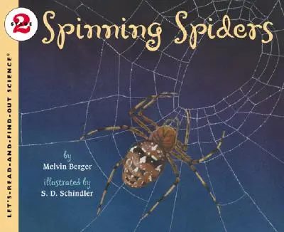 Spinnende Spinnen - Spinning Spiders